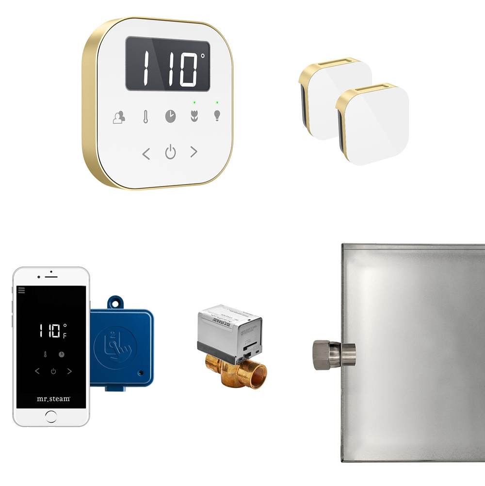 Mr. Steam AirButler Max Steam Shower Control Package with AirTempo Control and Aroma Glass SteamHead in White Satin Brass